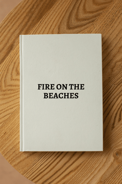 22452. Taylor, Theodore. FIRE ON THE BEACHES